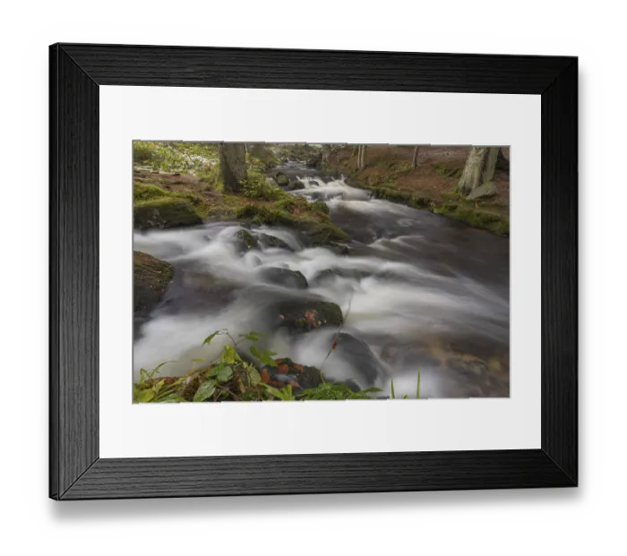 Framed Print : Kleine Ohe creek below Waldhaeuser village in the Bavarian Forest Nationalpark