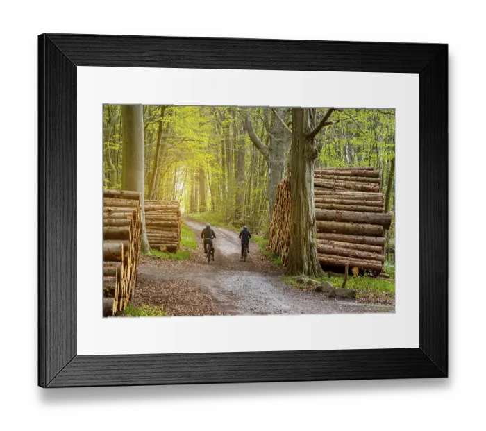 Framed Print : Cyclist between piles of wood on the side of the path in the forest Framed Print : Cyclist between piles of wood on the side of the path in the forest