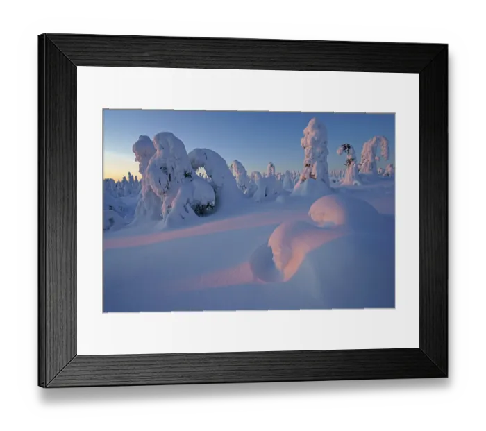 Framed Print : Snow landscape, Kuntivaara, Finland, Europe Framed Print : Snow landscape, Kuntivaara, Finland, Europe