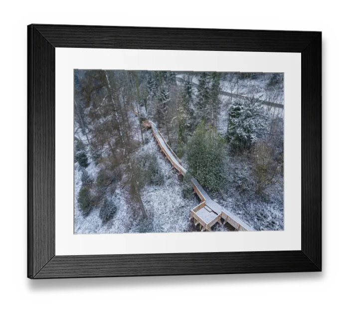 Framed Print : Forest in winter with a snow-covered footbridge surrounded by dense trees Framed Print : Forest in winter with a snow-covered footbridge surrounded by dense trees