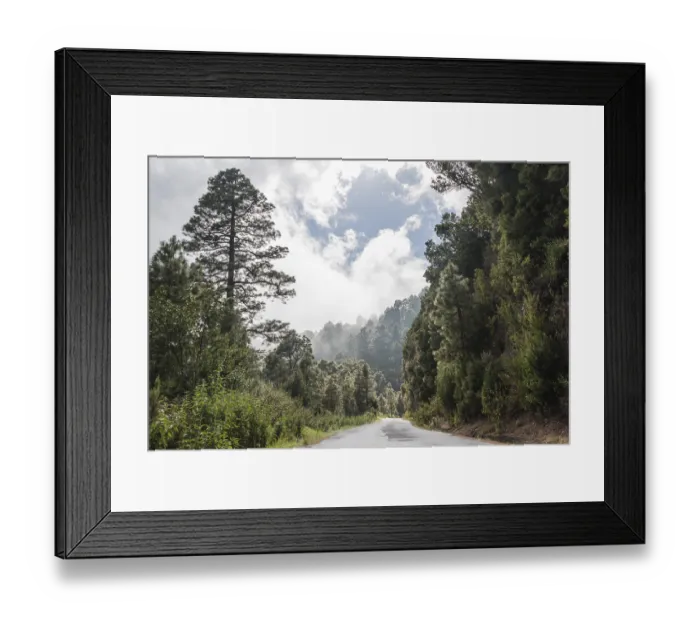 Framed Print : Wet road surrounded by trees and shrubs Framed Print : Wet road surrounded by trees and shrubs