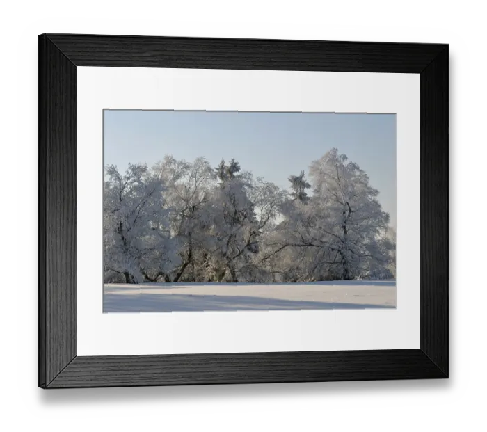 Framed Print : Winter landscape, snowy trees, Kahler Asten Framed Print : Winter landscape, snowy trees, Kahler Asten