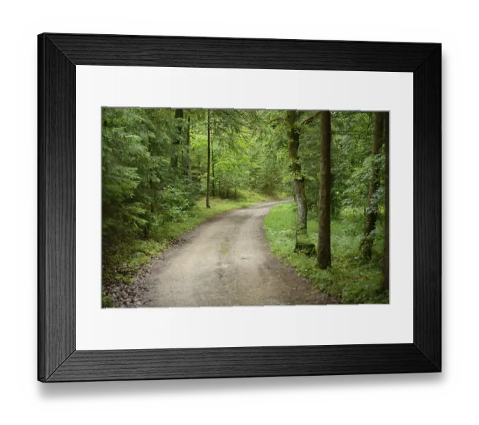 Framed Print : Landscape of a little way in a mixed forest in summer Framed Print : Landscape of a little way in a mixed forest in summer