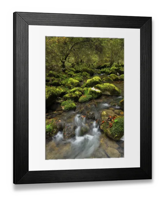 Framed Print : Moss covered rocks alongside the Orbe River