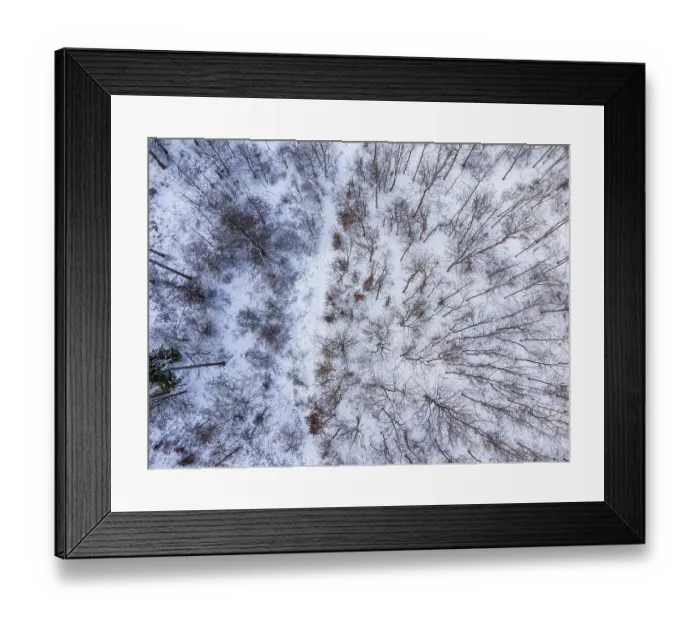 Framed Print : Small piece of deciduous forest in winter full of snow from a birds eye view