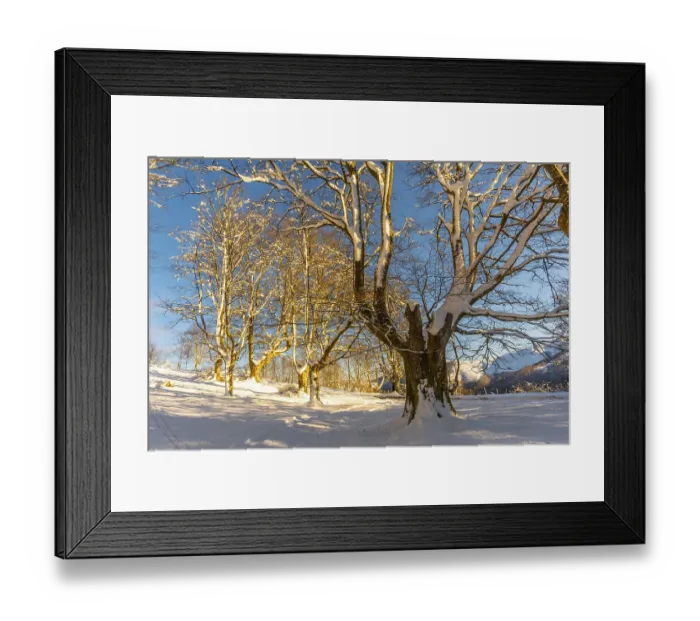 Framed Print : The Oianleku natural park at sunrise