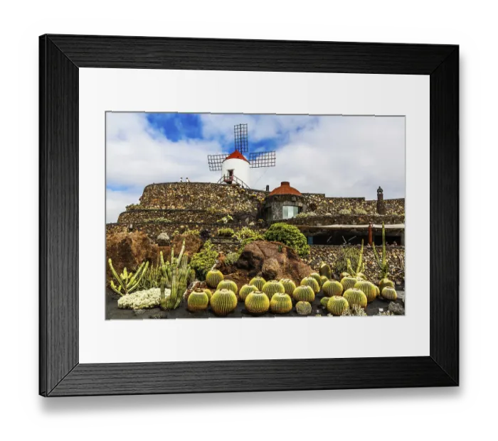 Framed Print : 2016, Guatiza, Lanzarote, Jardin de Cactus by Cesar Manrique Framed Print : 2016, Guatiza, Lanzarote, Jardin de Cactus by Cesar Manrique