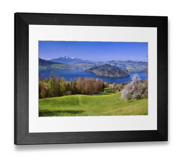 Framed Print : View of Lake Zug with Chiemen peninsula