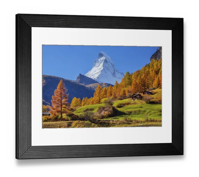 Framed Print : Matterhorn 4478m with golden yellow larches in autumn