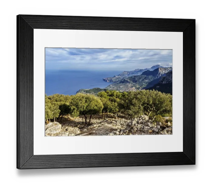 Framed Print : Scenic overlook of a rugged coastline with mountains and trees Framed Print : Scenic overlook of a rugged coastline with mountains and trees