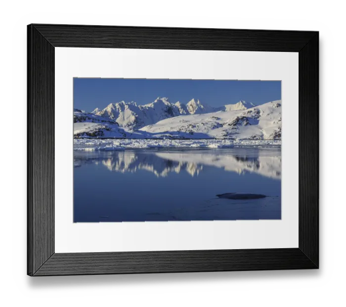 Framed Print : Icebergs in fjord in front of snowy mountains