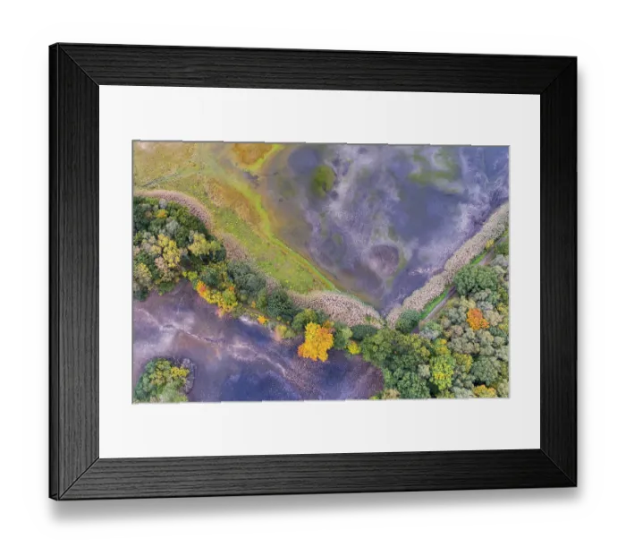Framed Print : Mixed forest in autumn, colouring