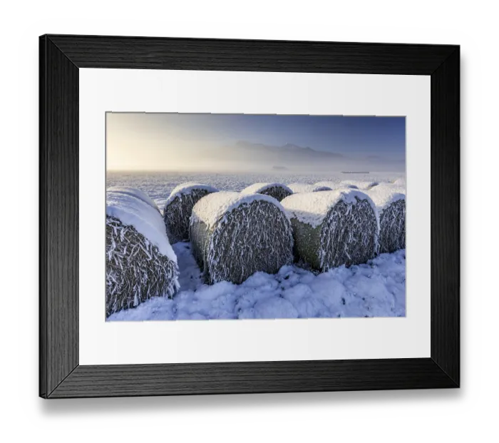 Framed Print : Hay bales, icy, hoarfrost, snow Framed Print : Hay bales, icy, hoarfrost, snow