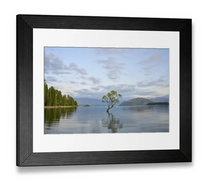 Framed Print : A peaceful lake with a tree and a mountain range in the background