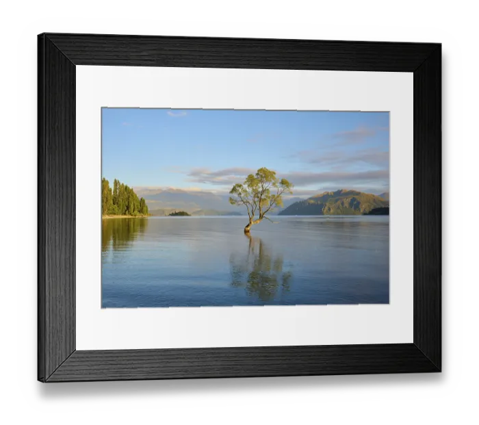 Framed Print : A lone tree in the water under a clear morning sky and surrounding mountains Framed Print : A lone tree in the water under a clear morning sky and surrounding mountains