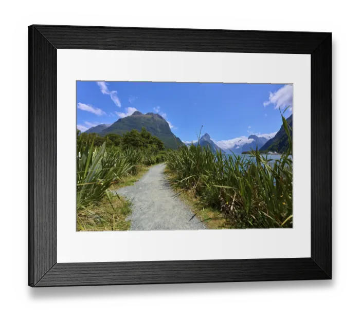 Framed Print : A narrow path leads through plants and trees