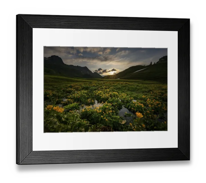 Framed Print : Summit in the morning light with dramatic clouds and marsh marigolds (Caltha) with stream in the foreground