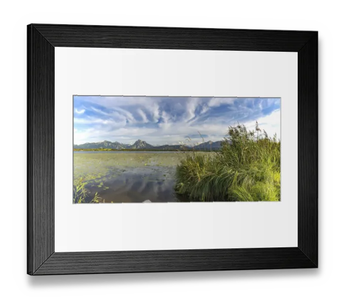 Framed Print : Lake Hopfensee, lakeshore with numerous water lilies