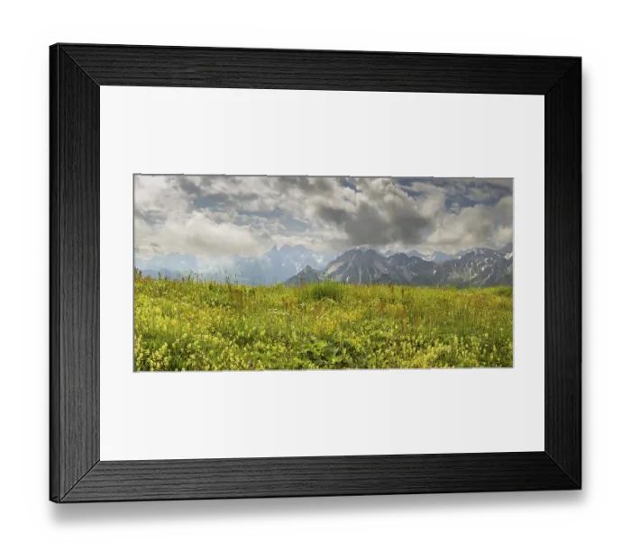 Framed Print : Summer in the Allgaeu, mountain panorama over a lush blooming mountain flower meadow on the Fellhorn 2037m