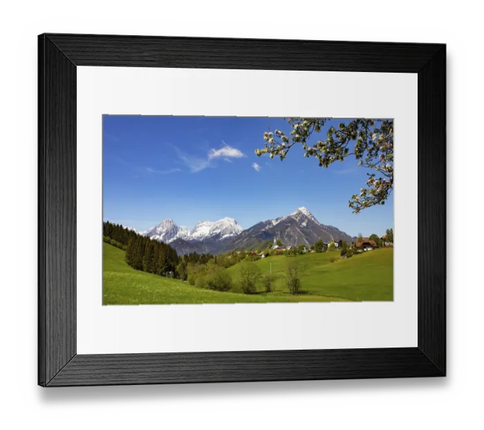 Framed Print : Flowering fruit tree, Vorderstoder Framed Print : Flowering fruit tree, Vorderstoder