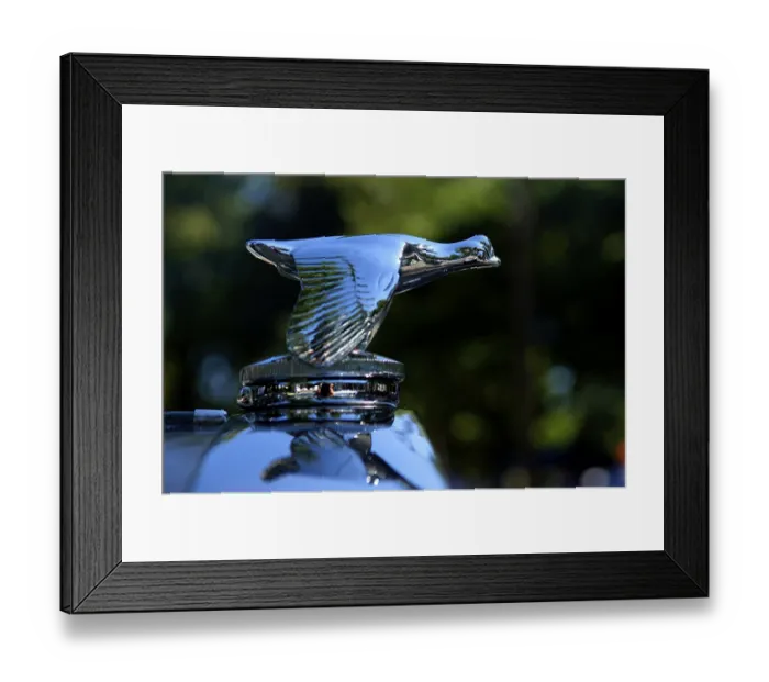 Framed Print : Hood ornament of a 1931 Ford at at Classic Car Show in Belvidere