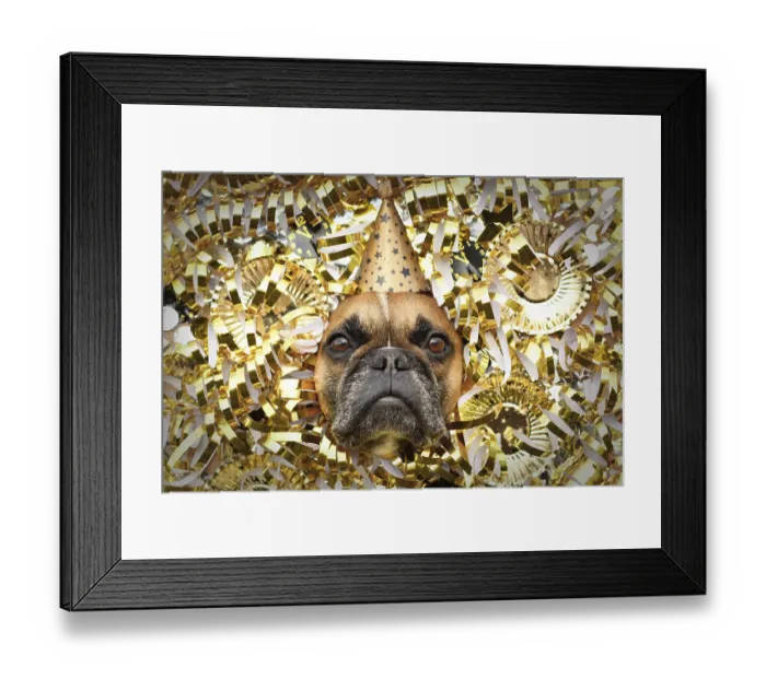 Framed Print : New Year's Eve Silvester party dog Framed Print : New Year's Eve Silvester party dog