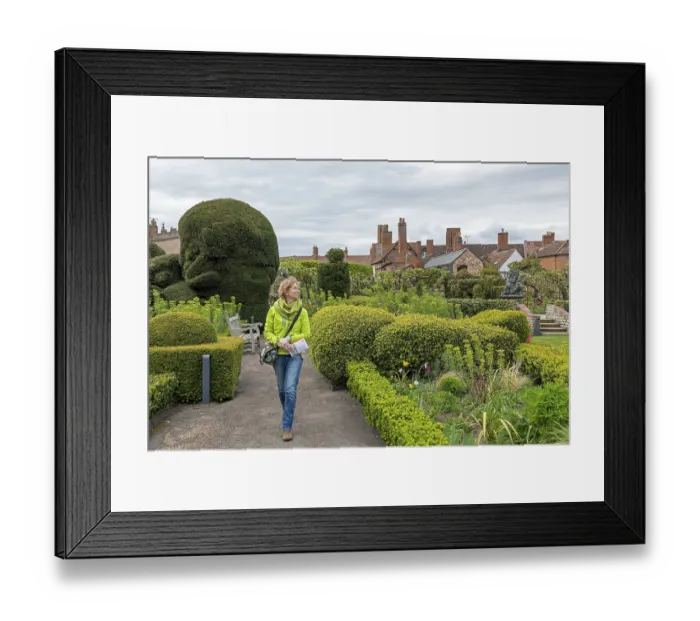 Framed Print : Visitor, garden, Shakespeare's New Place Framed Print : Visitor, garden, Shakespeare's New Place