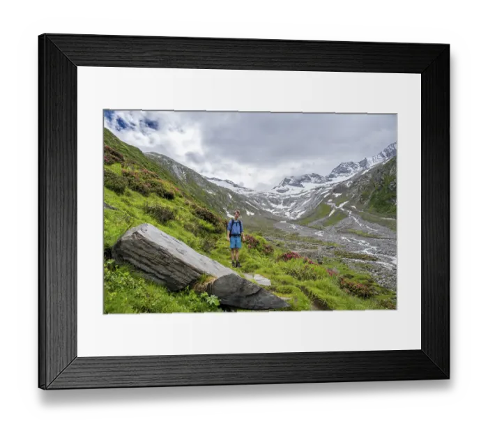 Framed Print : Mountaineers on a hiking trail between blooming alpine roses