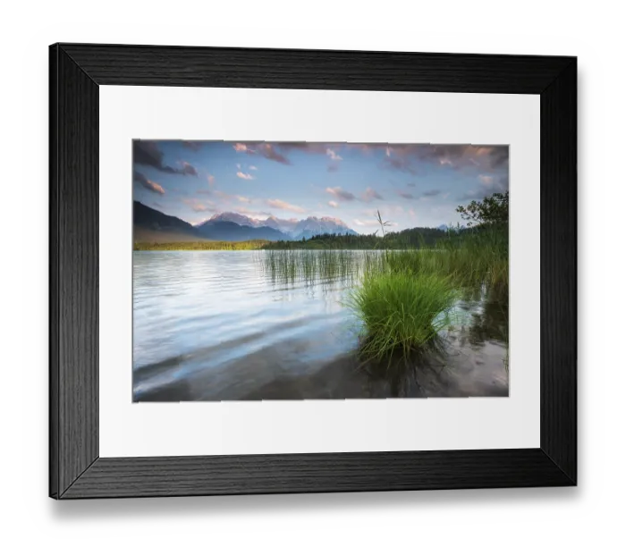 Framed Print : Evening mood at Barmsee with reeds