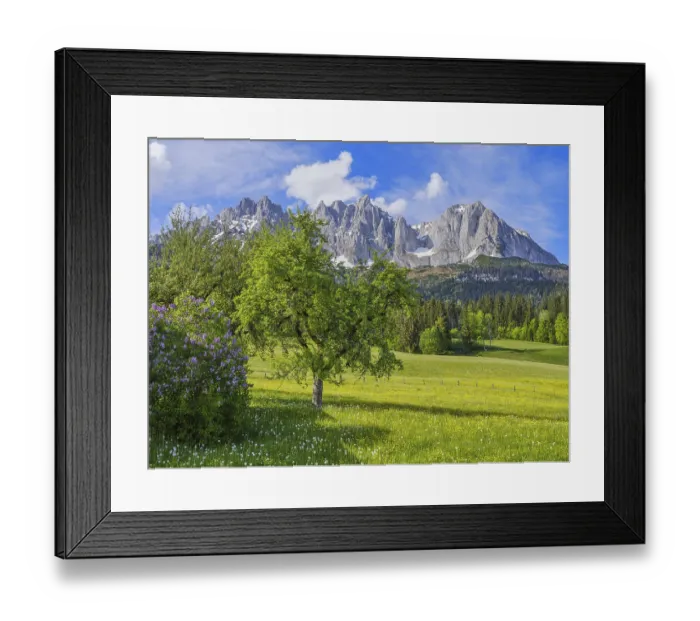 Framed Print : Wilder Kaiser in spring, Lilac and trees Framed Print : Wilder Kaiser in spring, Lilac and trees