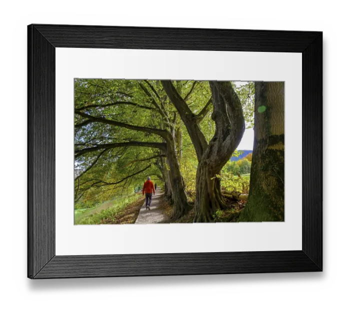 Framed Print : Hiker on the panorama trail, above Bad Kohlgrub Framed Print : Hiker on the panorama trail, above Bad Kohlgrub