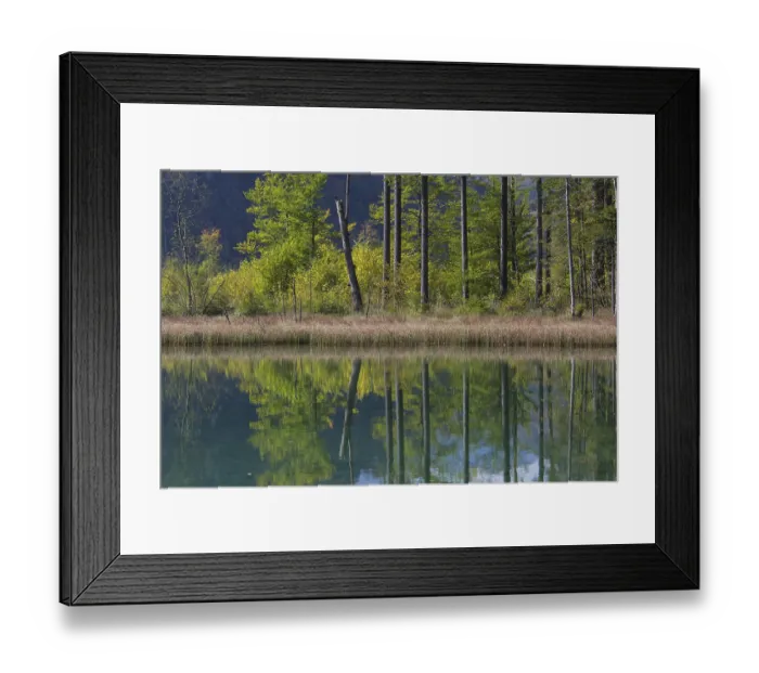 Framed Print : Autumn mood at lake Almsee, Gruenau Framed Print : Autumn mood at lake Almsee, Gruenau