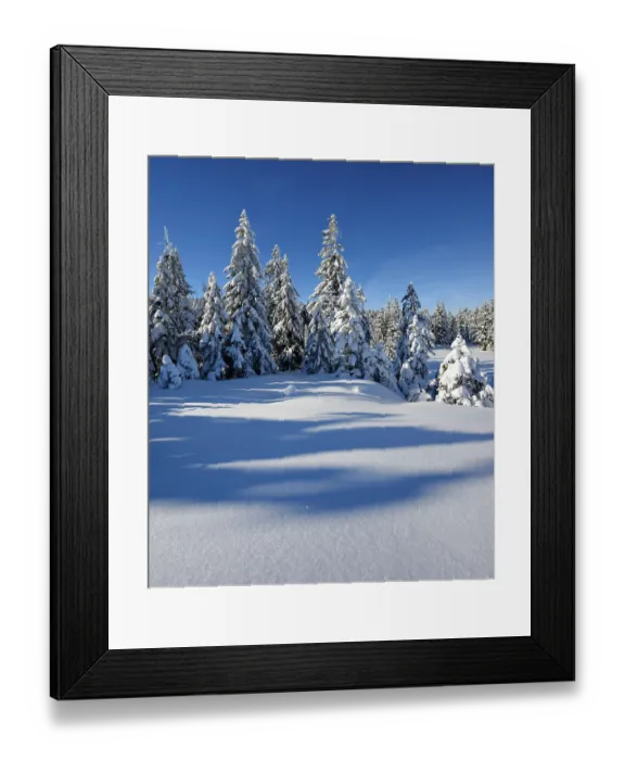Framed Print : Snow-covered winter landscape, Harz National Park