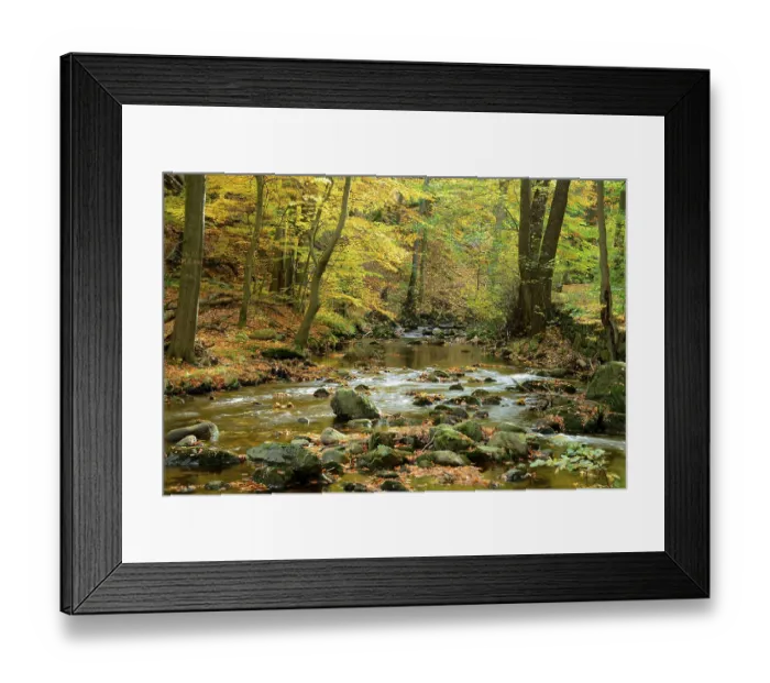 Framed Print : Bach with autumn leaves, Ilse, in the Ilse valley
