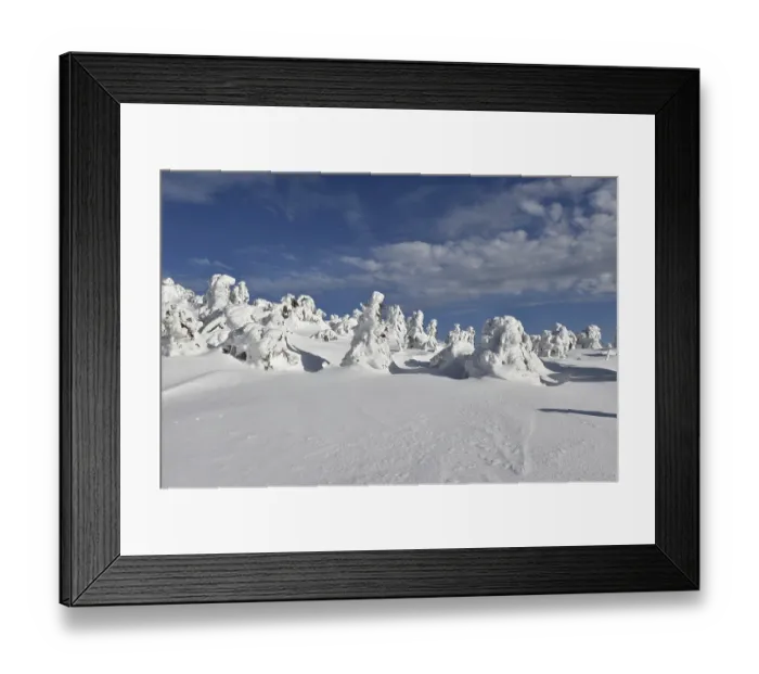 Framed Print : Icy and snowy forest on the Brocken Framed Print : Icy and snowy forest on the Brocken