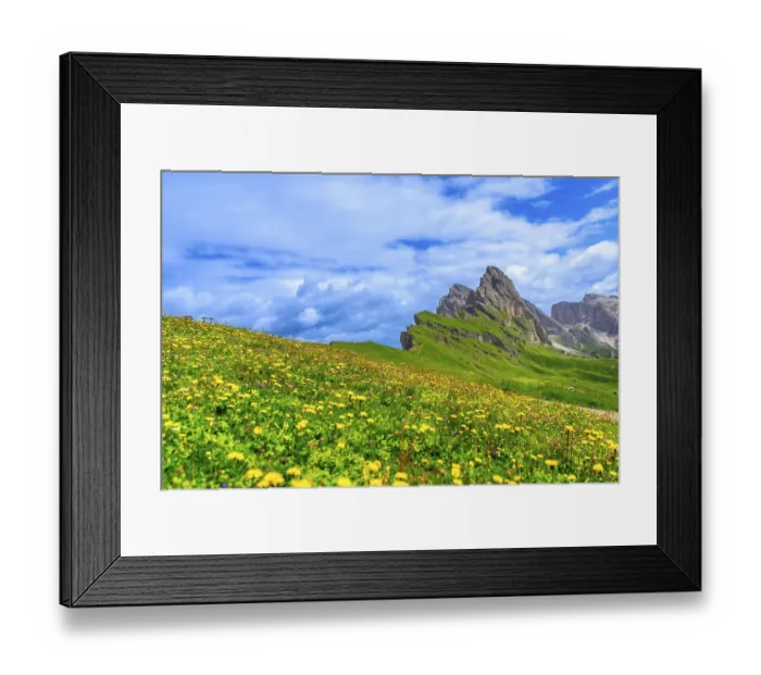 Framed Print : Vibrant wildflowers blooming on the slopes of seceda mountain in the dolomites Framed Print : Vibrant wildflowers blooming on the slopes of seceda mountain in the dolomites