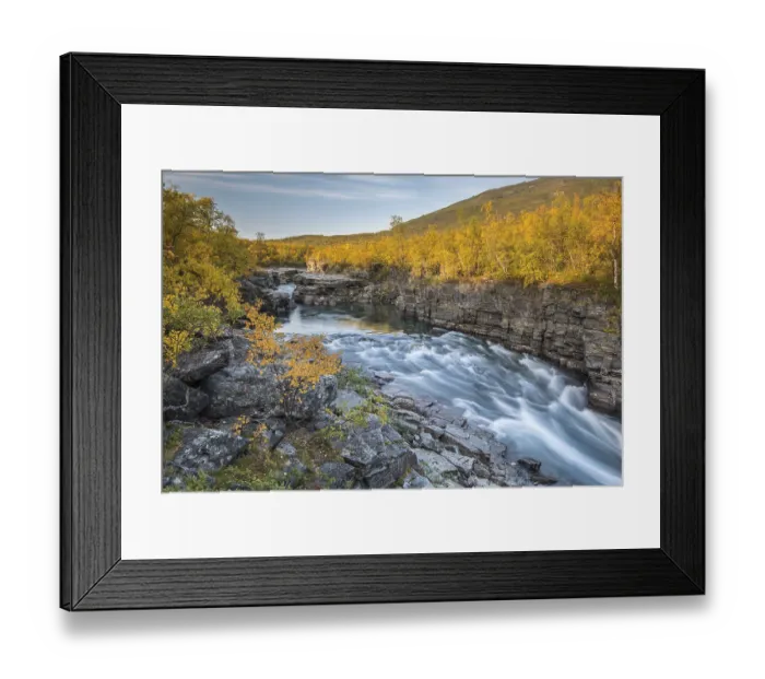 Framed Print : Autumnal Abisko canyon, Abiskojokk river