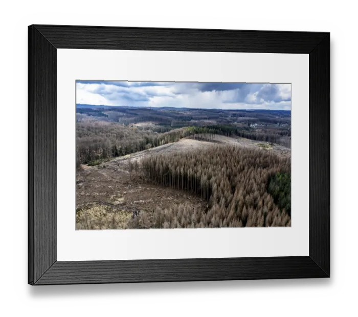 Framed Print : Area in the Arnsberg Forest near Warstein-Sichtigvor Framed Print : Area in the Arnsberg Forest near Warstein-Sichtigvor