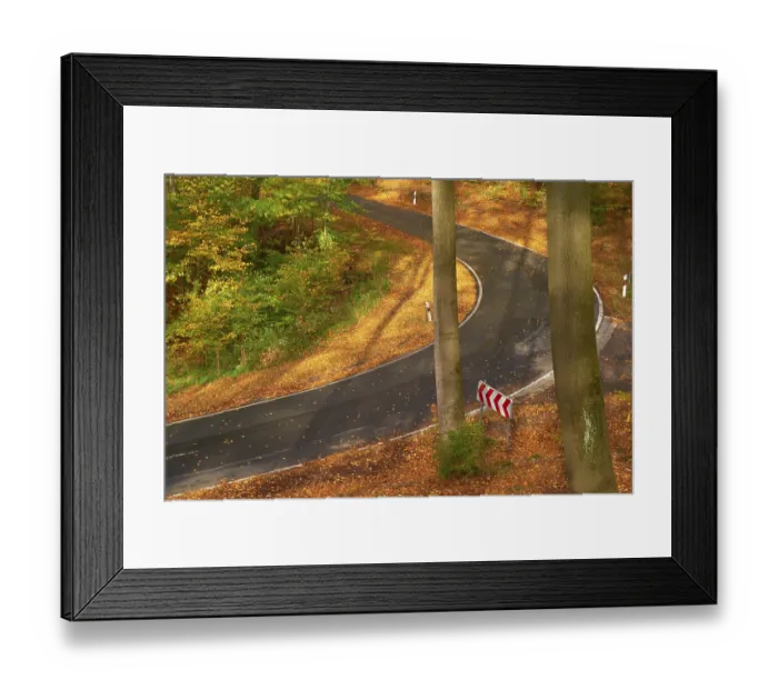 Framed Print : Sun illuminates a winding road leading through an autumnal forest with colourful foliage and tall trees