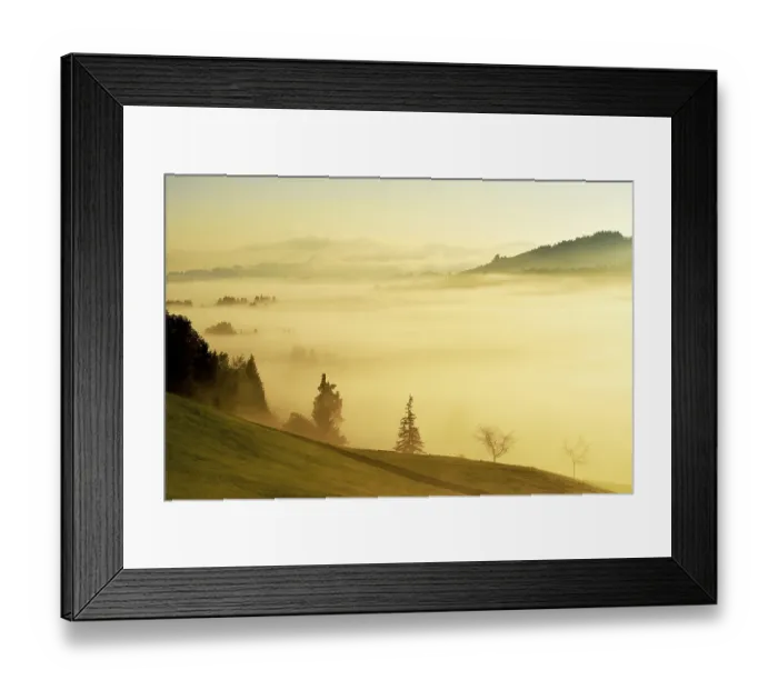 Framed Print : Forest covered in fog, Rothenthurm