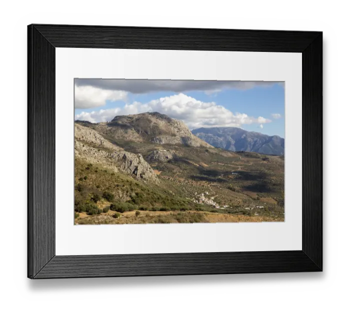 Framed Print : Olive trees near village of Aldea de Guaro Framed Print : Olive trees near village of Aldea de Guaro