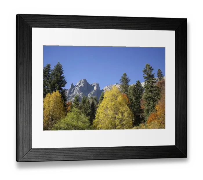 Framed Print : Rila mountains, forest in autumn colours Framed Print : Rila mountains, forest in autumn colours