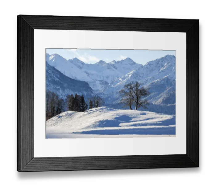 Framed Print : Group of trees in winter, snow-covered mountains of the Allgaeu Alps in the background
