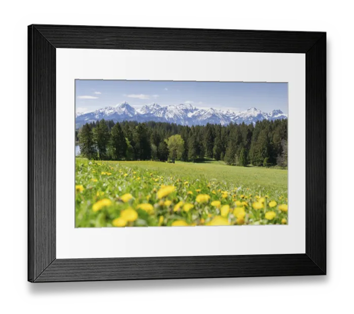 Framed Print : View of the Allgaeu Alps, Hegratsrieder See