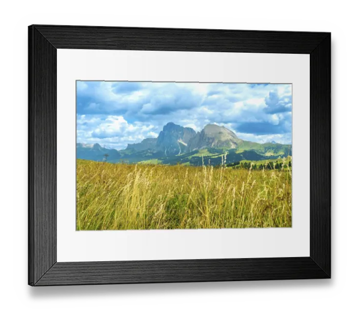 Framed Print : Golden meadow blowing in the wind with the sassolungo and sassopiatto mountains in the background