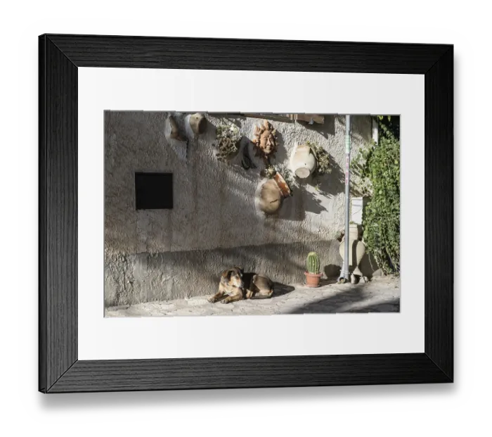 Framed Print : Domestic dog (Canis lupus familiaris) lying in front of a house wall decorated with kerakik
