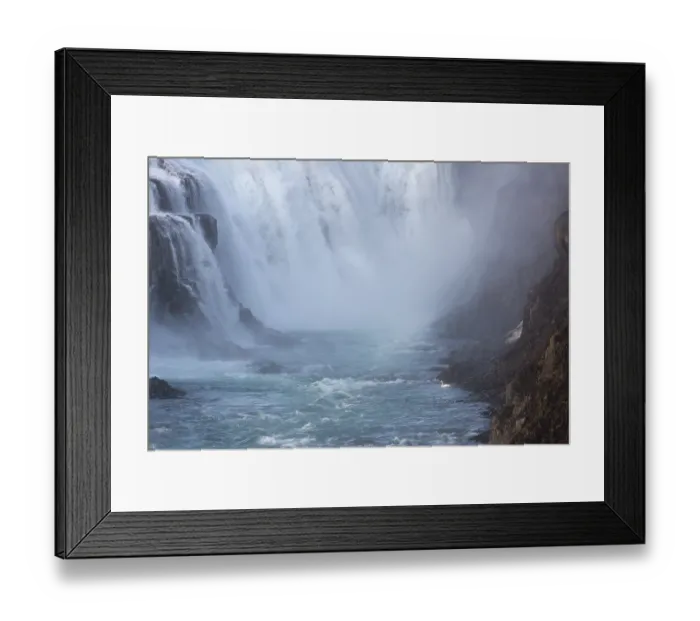 Framed Print : Whooper swan (Cygnus cygnus) at the base of the Gullfoss waterfall
