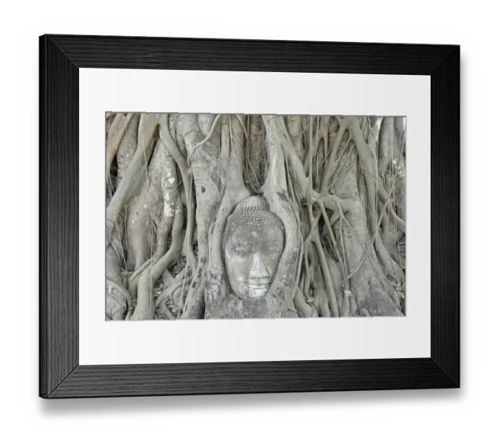 Framed Print : Sandstone head of a Buddha statue