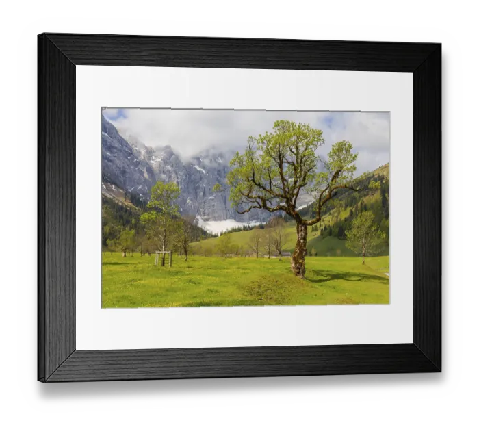 Framed Print : Nature conservancy area Grosser Ahornboden