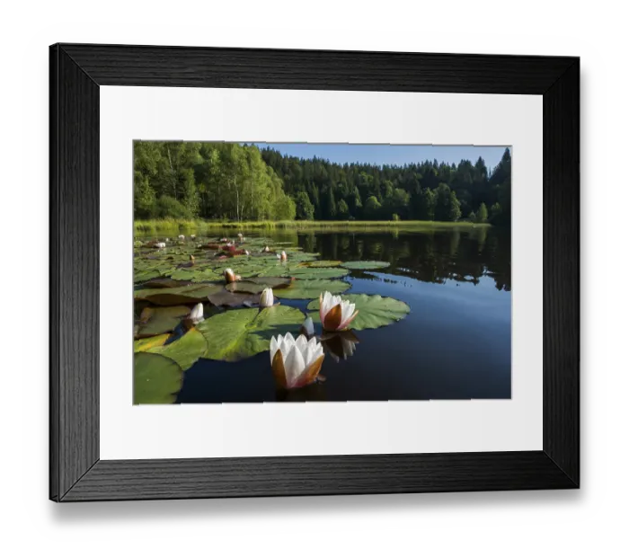 Framed Print : Klosterweiher, Dachsberg, Hotzenwald